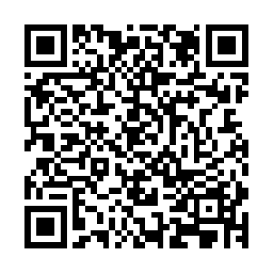 一名剑眉入鬓的中年男子一脸激动的盯着欧迪手中的古木盒子二维码生成