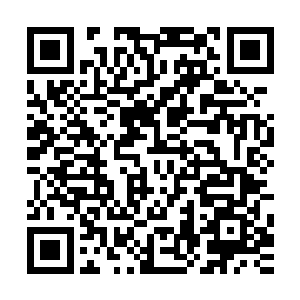 一名叫馒头的作者被愤怒到灵魂都在燃烧的书中主角原战杀死二维码生成