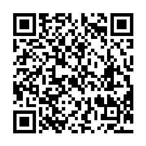 一名名来自天元家族的武者如潮水般的从里面狂涌而出二维码生成