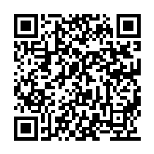 一名圣级战士和十名男女先后跑到海边沙滩之上二维码生成