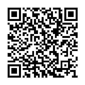 一名在西方权威刊物上频繁发表高端论文的学者二维码生成