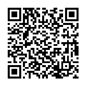 一名学者如果试图向行政官员说明自己论文的必要性二维码生成