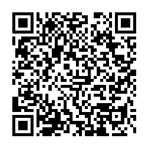 一名实力堪比人族圣皇强者的八阶魔兽就这样永远的消散在天地间二维码生成