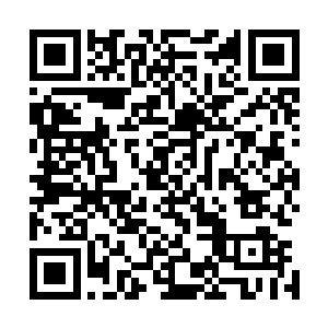 一名年纪莫约三十多岁的青年手指着剑尘和鸣东两人大喝道二维码生成
