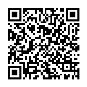 一名彪形大汉正在和一名瘦弱的白衣男子举目相望二维码生成