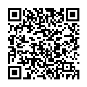 一名曾经去送过药的亲兵看到了罗布身旁的陈长生二维码生成