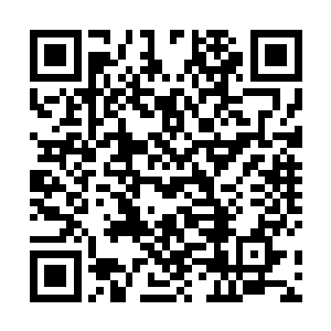 一名来自世家的太上长老低头看了一眼自己手臂上的伤二维码生成