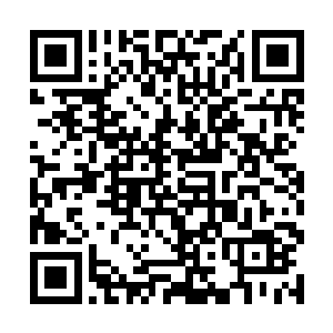 一名正在用炮镜观察战场的德军参谋发出了一声惊呼二维码生成