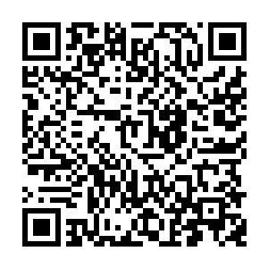 一名混元境修为的老者带着一名仅有神王境的妙龄女子正朝着天元家族走去二维码生成