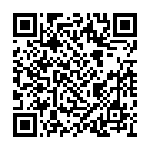 一名特训委员会的工作人员将一个胖子带了过来二维码生成