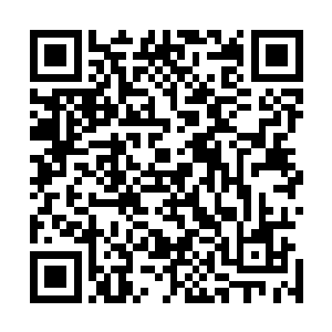 一名看上去很面熟的某电视台一线主持人负责报上客人名字二维码生成