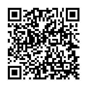 一名看不清面容的女仙正坐在上面看着手里的纸质书籍二维码生成