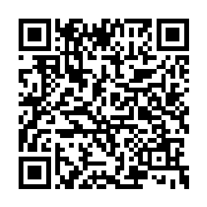 一名符圣境界的高手竟然被江帆一根手指撂倒了二维码生成