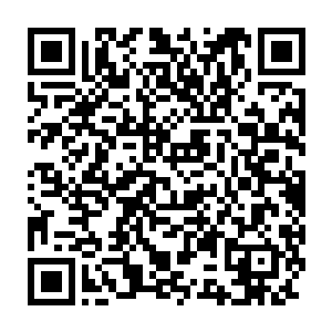 一名老神在在的道装修士眯着眼睛收取想要进入万幽峡谷修士给予的二维码生成