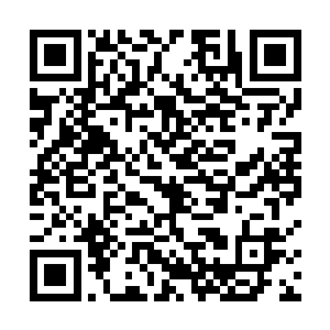 一名老者正满脸怒容的盯着跪在自己身前的三名中年人二维码生成