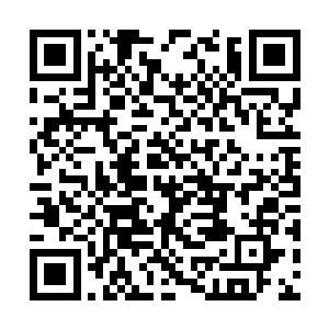 一名背着步枪的安莫尔政府军士兵突然就倒在地上二维码生成