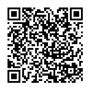 一名脸颊有一道疤痕蓄着胡须的中年男子操着一把开山刀逼问莫凡二维码生成