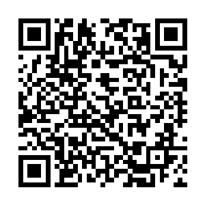 一名血族老者遥望着荒原上一路远去的千夜和小菜鸟二维码生成