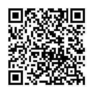 一名训练有素的战斗巫师自然可以碾压同等级的职业者二维码生成