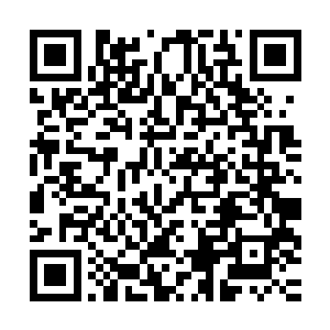 一名身形高大的觉醒者被斯巴达的电浆枪烧烂了身上的防雨披风二维码生成