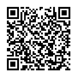 一名身穿校服的青年正在水潭不远处的草地上练剑二维码生成