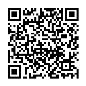 一名身穿桃色汉服的女子此时正走在李家大宅的大道上二维码生成