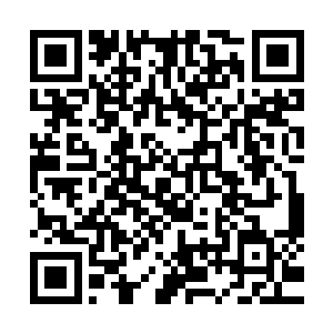 一名身穿灰色长袍的老者在几名紫袍卫士的带领下来到了这里二维码生成