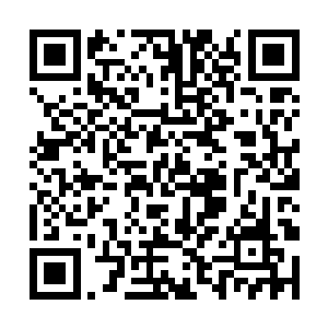 一名身穿青色长袍的老者就风驰电擎的向着这里飞来二维码生成