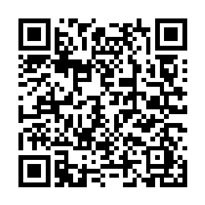 一名长得像只猫头鹰般胖乎乎的秃头羽族迎上前来二维码生成