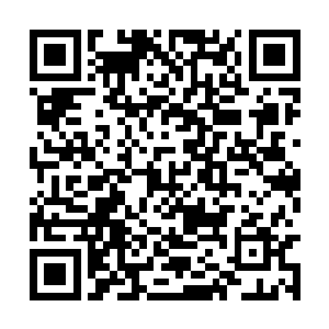 一向不离小姐左右的袁嬷嬷居然在王府里面不见了二维码生成