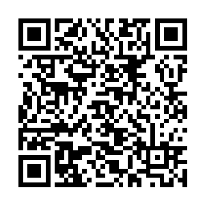 一向以反应力无敌自诩的她也有点斯巴达的情绪在二维码生成