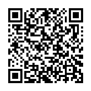 一向以精力体力意志力自诩的林小璐会连站都站不稳二维码生成