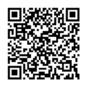 一向刚强的小金在小白的面前竟然变得柔情似水二维码生成