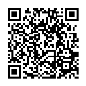 一向在街坊邻里之间以诬赖不讲理著称的向长明二维码生成