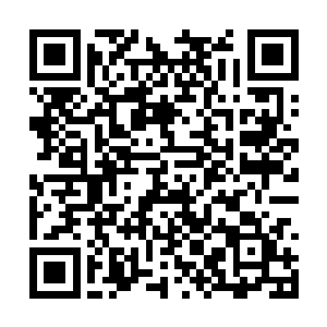 一向对冷小呆十分和善的墨小宝顿时变得一脸凶恶二维码生成