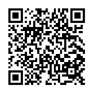 一向来天不怕地不怕的女孩子这会儿脸上也多了几分别扭二维码生成