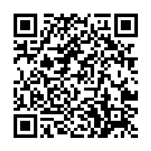 一向比鬼还要精三分的寒菲樱不是没想到那种可能性二维码生成