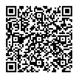 一向清醒理智的她会和安晓桥一样突然在某日给我传达这么一则惊悚又震惊的消息二维码生成