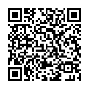 一向讲究素质的许紫烟都忍耐不住在心里爆了一句粗口二维码生成