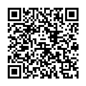 一向都服从安排的他首次对队伍的选人战略提出了异议二维码生成
