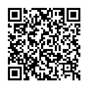一听到最后的冠军是从夏天和青云两人之中选取二维码生成