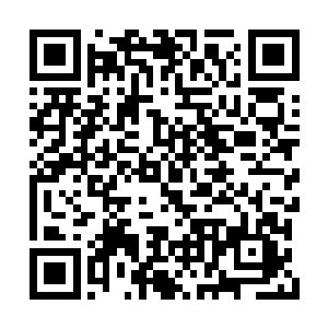 一听到这里贝海不由的直起了身体向着场中望去二维码生成