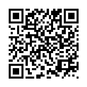 一味的告诉我们你所说的就是事实二维码生成