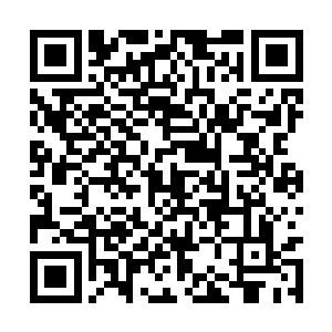 一咬牙又在背包里拿出五万美金现金放到卡特面前二维码生成