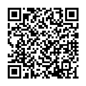 一品神文师的时候磨蹭到最后第五个时辰才完工二维码生成