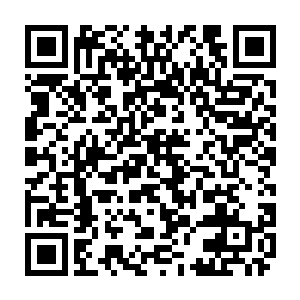 一回来就听谢尔盖这个俄国佬在吹嘘你们在叙利亚蒙骗信号旗部队的事情二维码生成