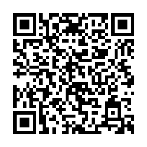 一团火光毫无预兆的从每头大象的尾巴下面冒起二维码生成