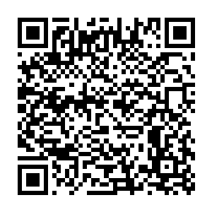 一团直径两米多长的金甲虫球就从旁边一栋废弃的建筑中滚了出来二维码生成