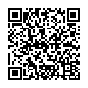 一国储君竟然压制不住一个王府世子迅猛发展的态势二维码生成