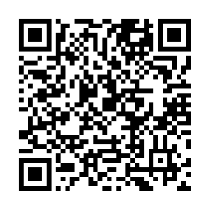 一国王后居然对夜机山这样一个其他国家的平民动了杀心二维码生成